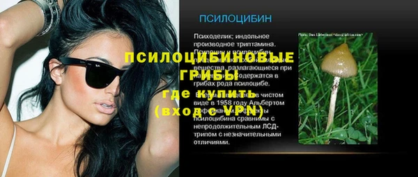 PSILOCYBIN Остров