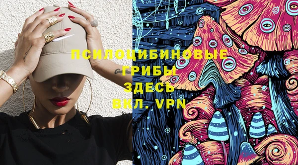 PSILOCYBIN Остров