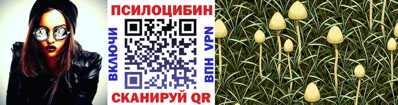 Псилоцибиновые грибы Psilocybine cubensis  Купить  Солигалич 